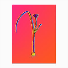 Neon Cape Tulip Botanical in Hot Pink and Electric Blue n.0109 Canvas Print