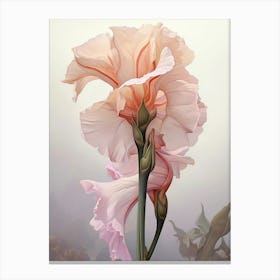 Floral Illustration Gladiolus 1 Canvas Print