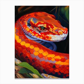 Red Tailed Boa 1 Snake Painting Canvas Print