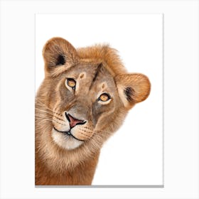 The Lion 1 Canvas Print
