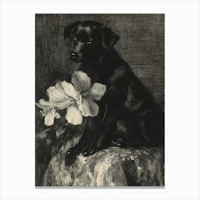 Black Dog With Flowers Canvas Print