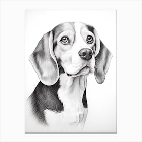 Beagle Dog, Line Drawing 3 Canvas Print