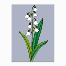 Lily Of The Valley 14 Canvas Print