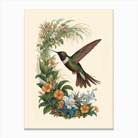 Hummingbird botanical flower beauty 15 Canvas Print