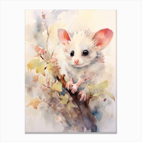 Light Watercolor Painting Of A Posing Possum 3 Canvas Print