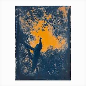 Orange & Blue Peacock In The Trees 3 Canvas Print