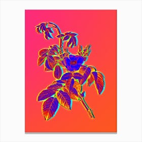 Neon Apple Rose Botanical in Hot Pink and Electric Blue n.0450 Canvas Print