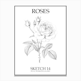 Roses Sketch 14 Poster Canvas Print