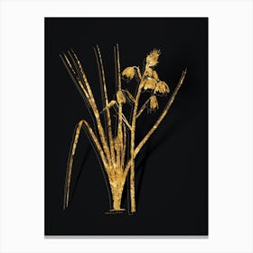 Vintage Slime Lily Botanical in Gold on Black n.0311 Canvas Print