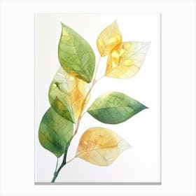 Watercolor Leaf Painting Canvas Print