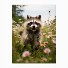 Cute Funny Crab Eating Raccoon Running On A Field 1 Canvas Print