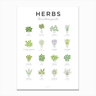 Herbs Guide Minimal Canvas Print