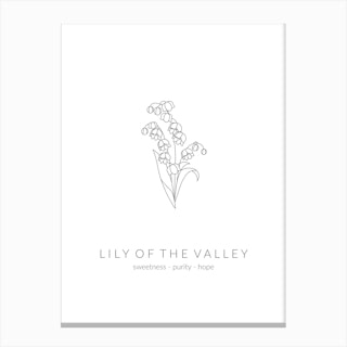 Lily Of The Valley Birth Flower Canvas Print