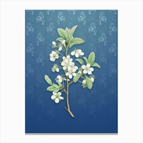 Vintage White Plum Flower Botanical on Bahama Blue Pattern n.1716 Canvas Print