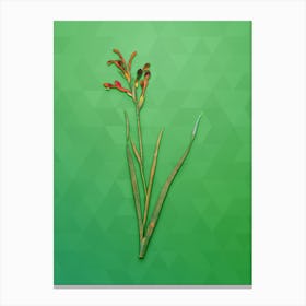 Vintage Gladiolus Cunonius Botanical Art on Classic Green n.0257 Canvas Print