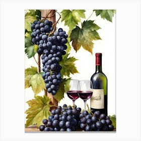 Vines,Black Grapes And Wine Bottles Painting (27) Canvas Print