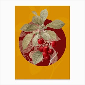 Vintage Botanical Cherry on Circle Red on Yellow n.0093 Canvas Print