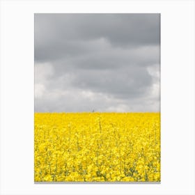 Grey And Yellow Fields Canvas Print