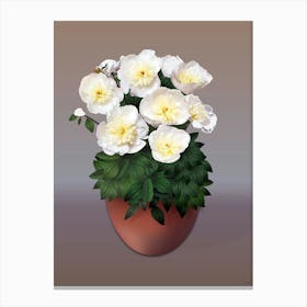 White Peony Flowers In The Old Pot On A Beige Background Canvas Print