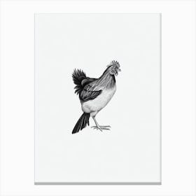 Chicken B&W Pencil Drawing 3 Bird Canvas Print