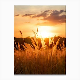 Sunset In The Field 3 Canvas Print