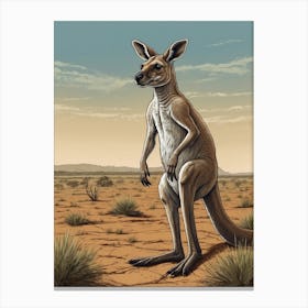 Kangaroo 2 Canvas Print