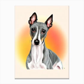 Italian Greyhound Illustration dog Canvas Print