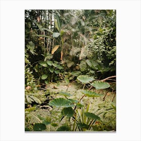 Little botanical landscape green jungle | Hortus Botanicus | Amsterdam | The Netherlands Canvas Print
