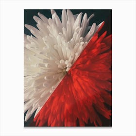 Floral Blossom Canvas Print
