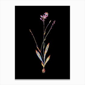 Stained Glass Gladiolus Junceus Mosaic Botanical Illustration on Black Canvas Print