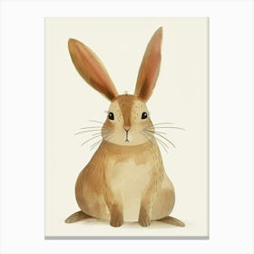 Californian Rabbit Kids Illustration 4 Canvas Print