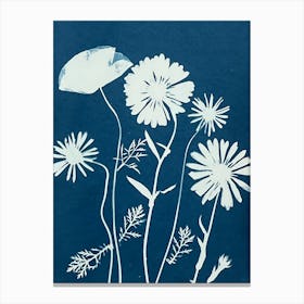 Blue daisy cyanotype Canvas Print