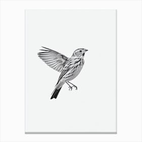 Yellowhammer B&W Pencil Drawing 2 Bird Canvas Print