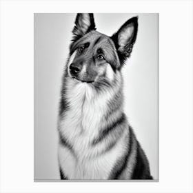 Belgian Tervuren B&W Pencil dog Canvas Print
