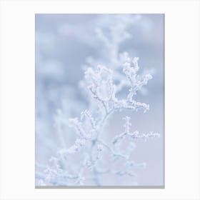 Frozen Twigs Winter Canvas Print