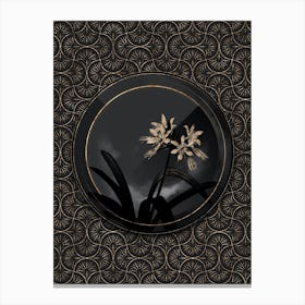 Shadowy Vintage Pancratium Illyricum Botanical in Black and Gold n.0157 Canvas Print