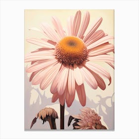 Floral Illustration Daisy 2 Canvas Print