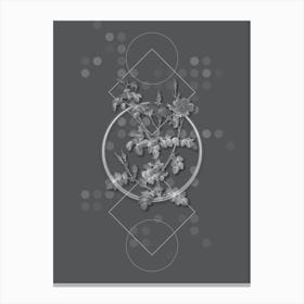 Vintage Prickly Sweetbriar Rose Botanical with Line Motif and Dot Pattern in Ghost Gray n.0137 Canvas Print