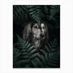 Dog Dachshund In Ferns Canvas Print