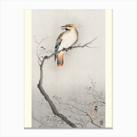 Japanese Plague Bird On Branch (1900 1910), Ohara Koson Canvas Print