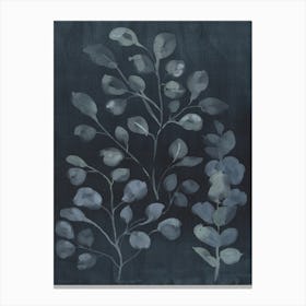 Chalky Botanical Eucayptus On Black Background Canvas Print