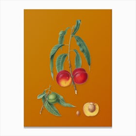 Vintage Walnut Peach Botanical on Sunset Orange n.0519 Canvas Print