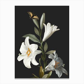 Lilies 1 Canvas Print
