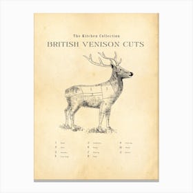 British Venison Chart Butcher Chart Canvas Print
