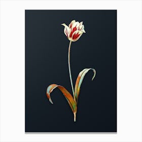 Vintage Didier's Tulip Botanical Watercolor Illustration on Dark Teal Blue n.0882 Canvas Print