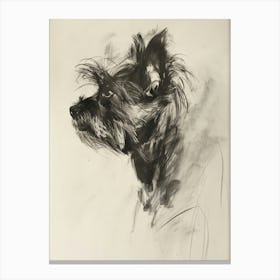 Yorkshire Terrier Dog Charcoal Line 2 Canvas Print