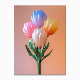 Dreamy Inflatable Flowers Protea 2 Canvas Print