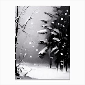Winter, Snowflakes, Black & White 2 Canvas Print