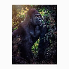 Silverback Gorilla In The Jungle Canvas Print