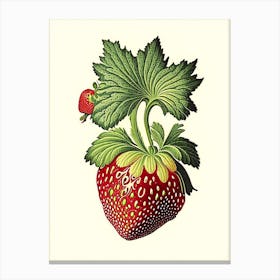 A Single Strawberry, Fruit, Vintage Botanical 1 Canvas Print